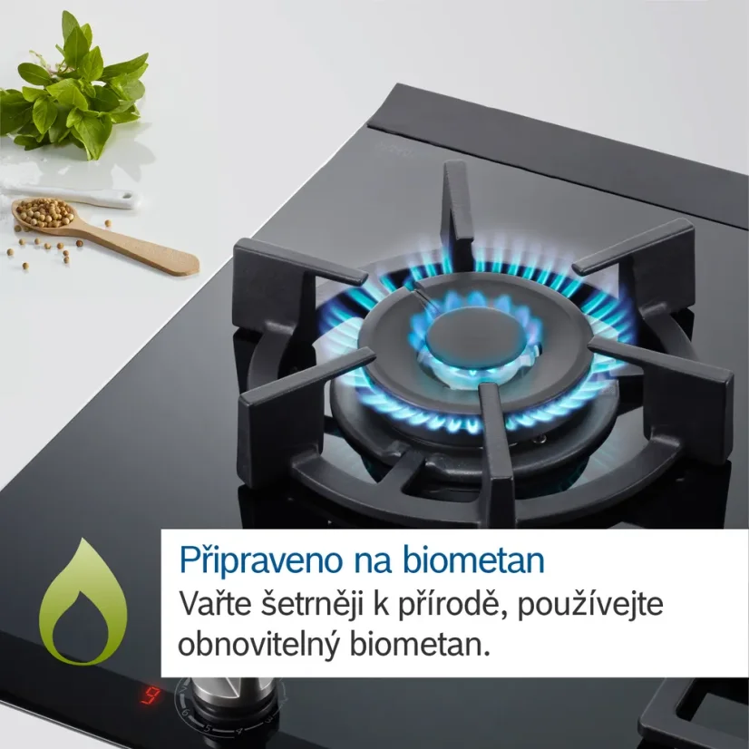 Bosch PPQ7A6I10